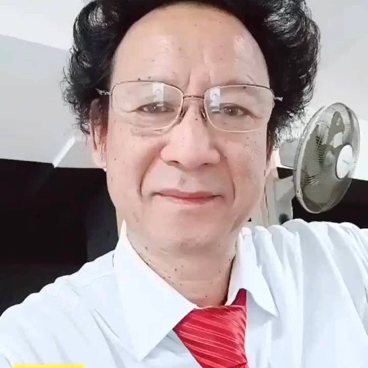老虎的照片