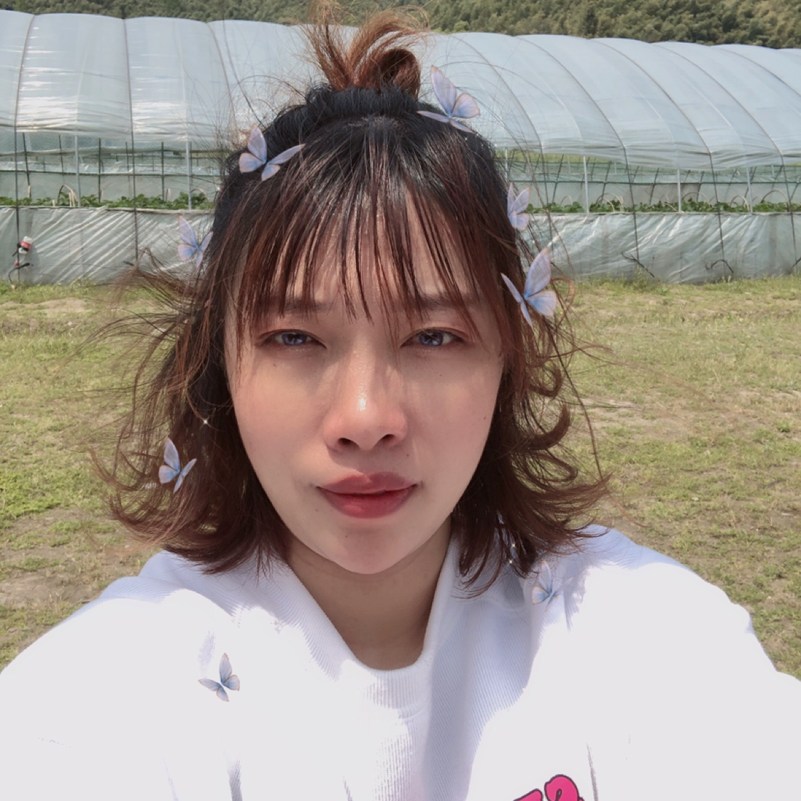 回忆碧蓝的照片