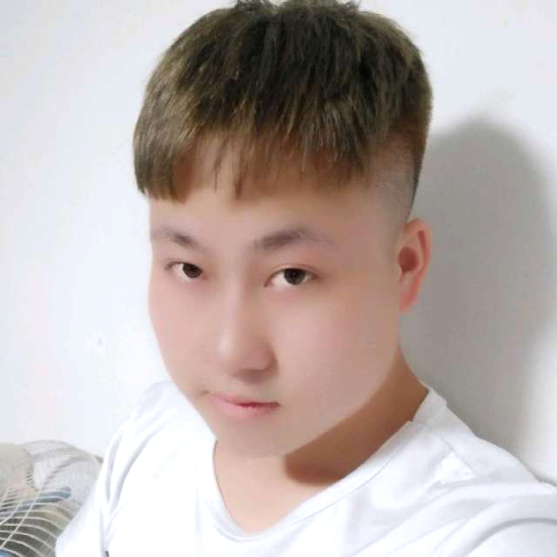离歌等于高大的照片