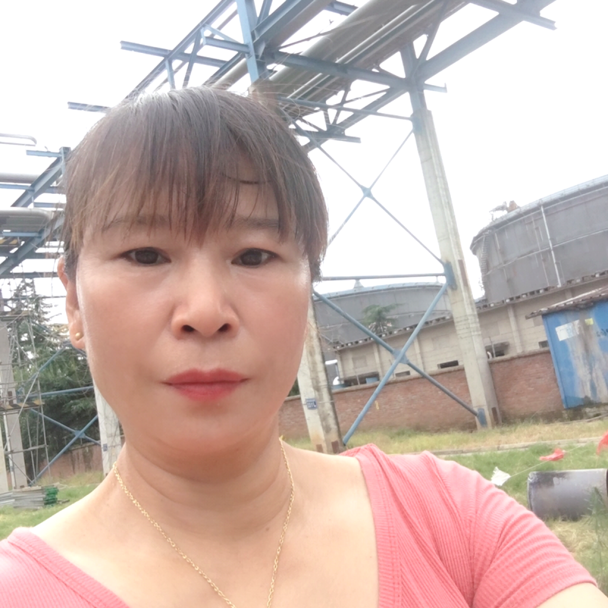 芹菜闻成就的照片