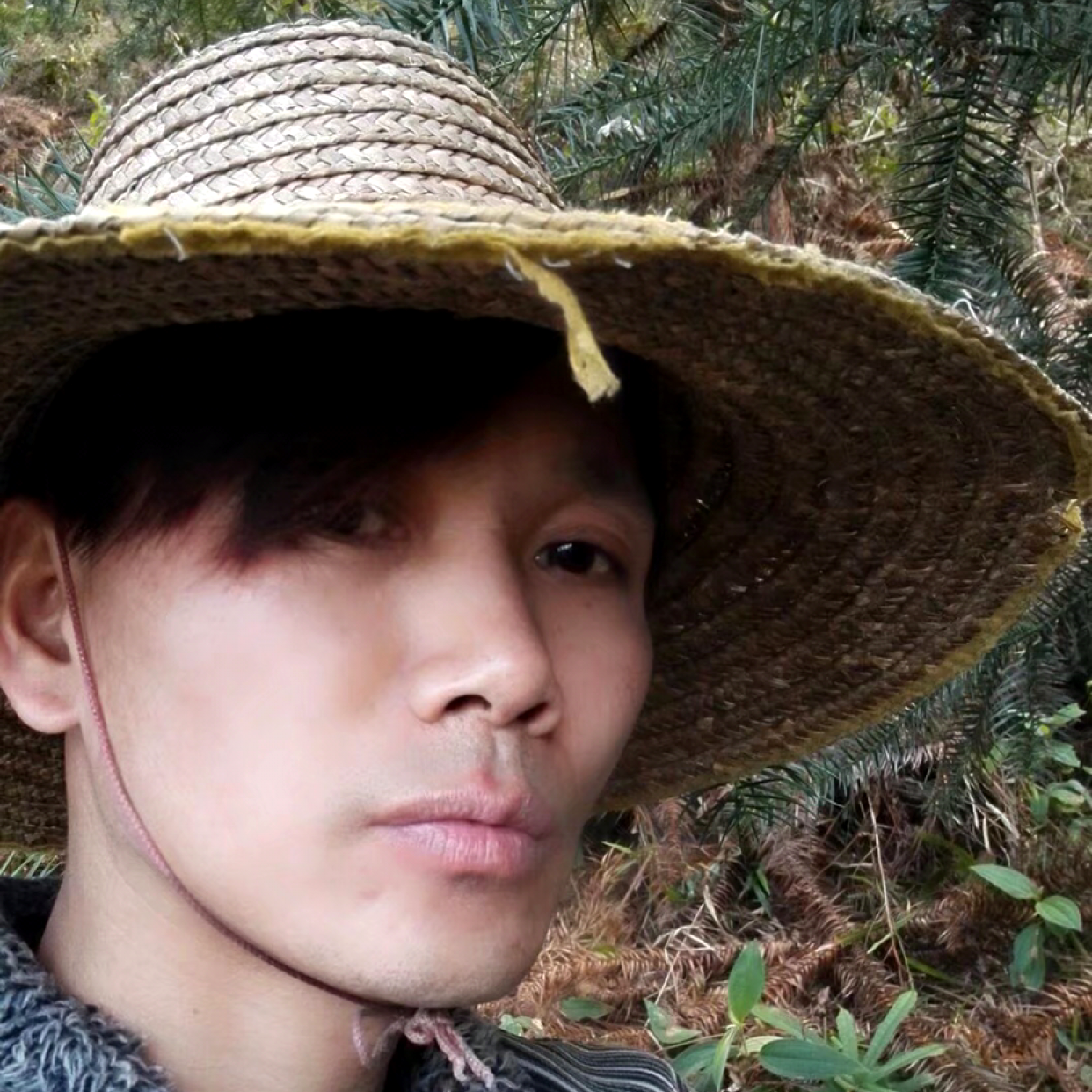 香氛放弃烂漫的照片