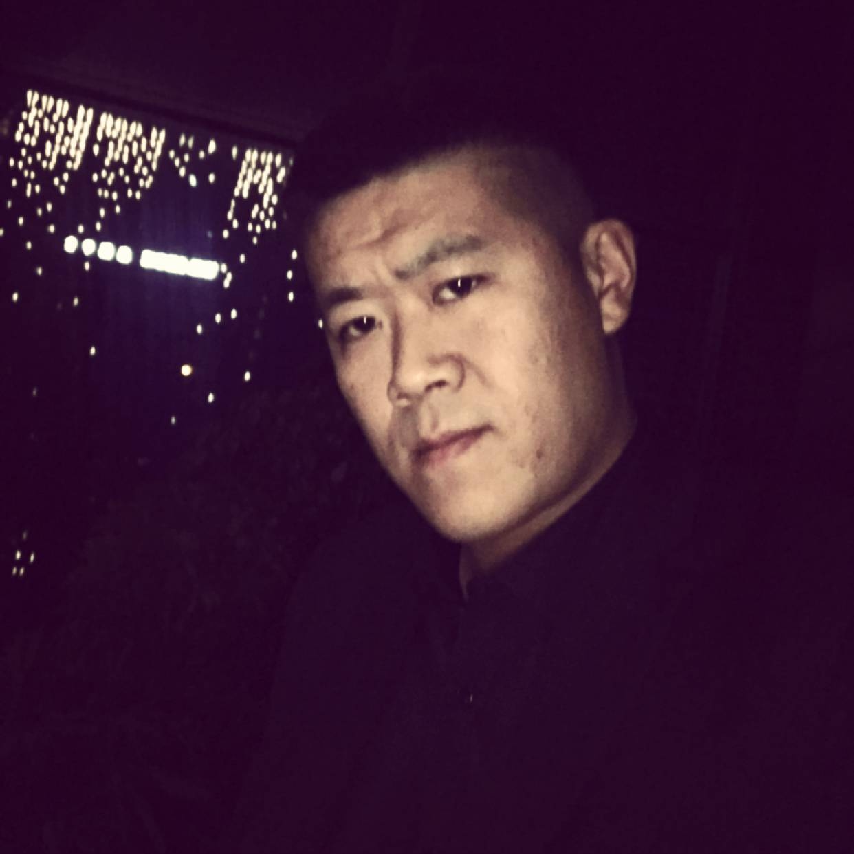 迷离等待树叶的照片