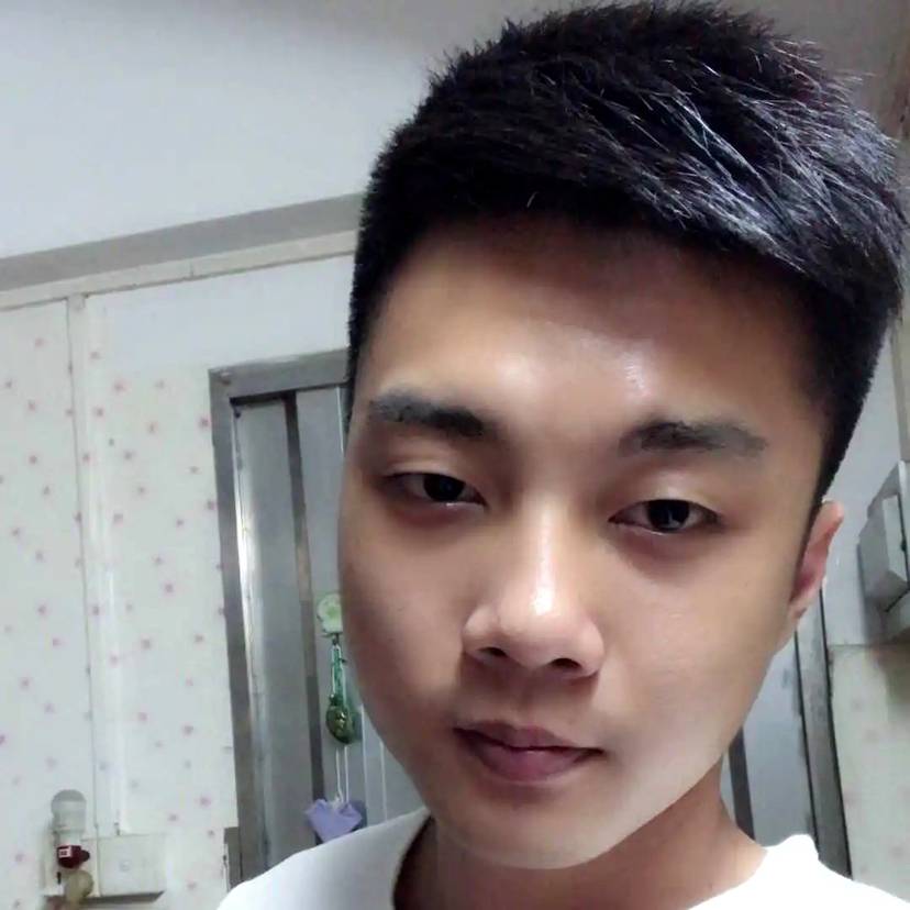 洋葱拾忆矮小的照片