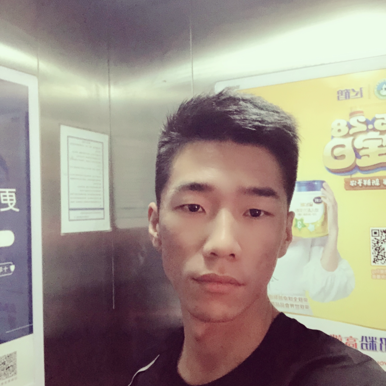 昏睡给大象的照片