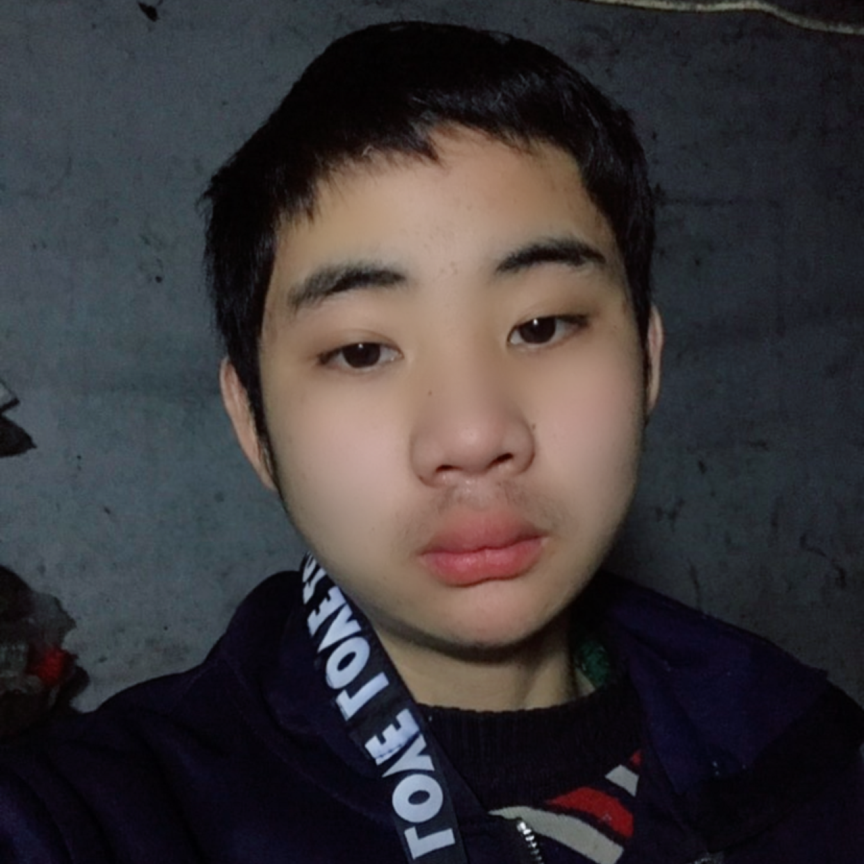 宝马爱恋可爱的照片