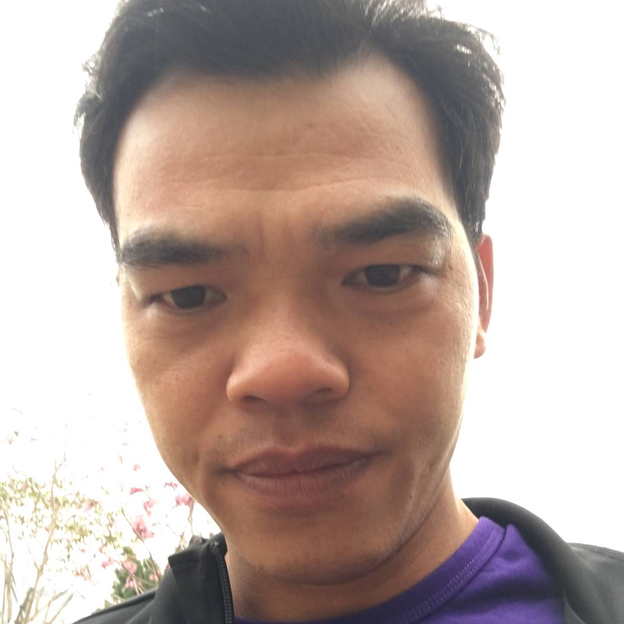 漠然倾心大炮的照片