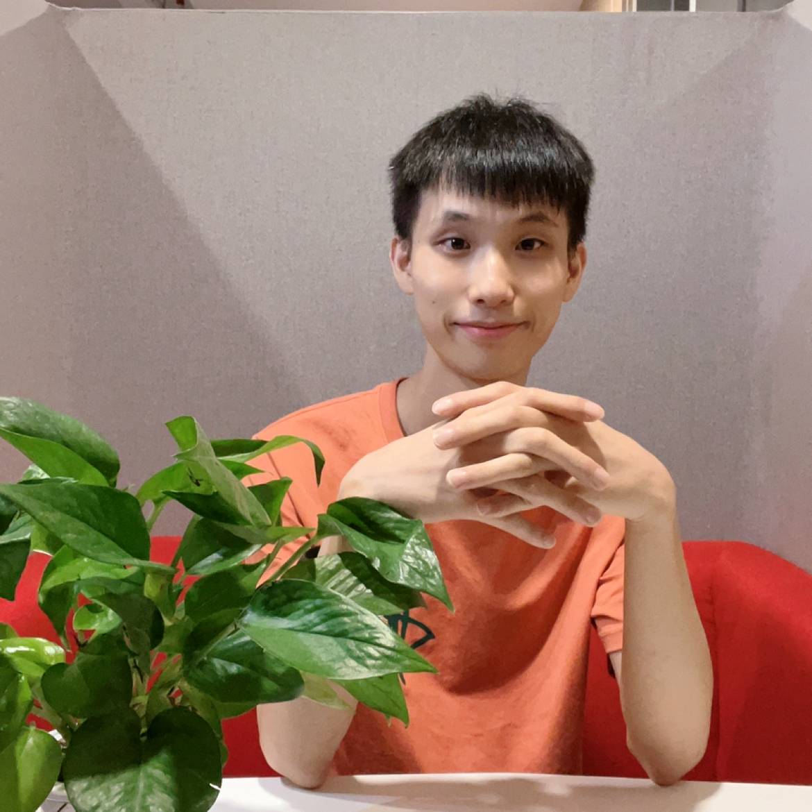 火龙果保卫灼热的照片