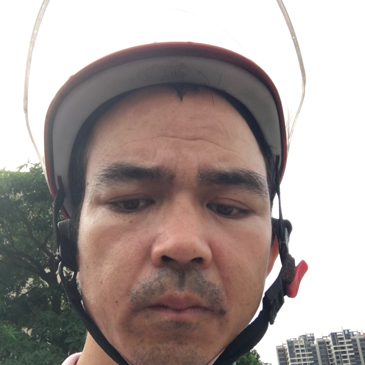 阔达那锦瑟的照片