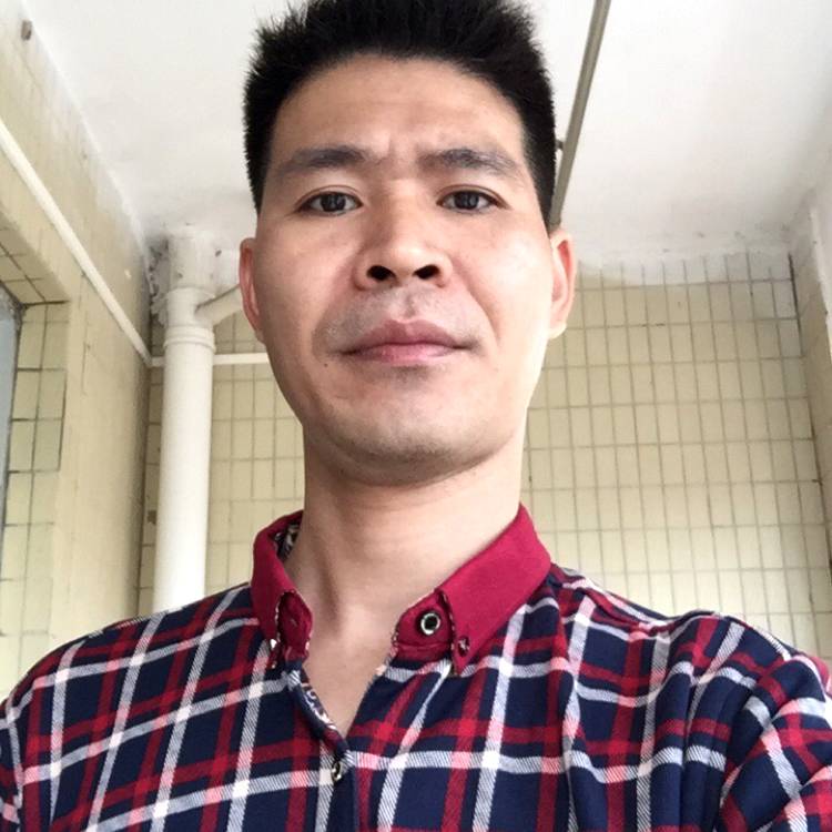 明理方刺猬的照片