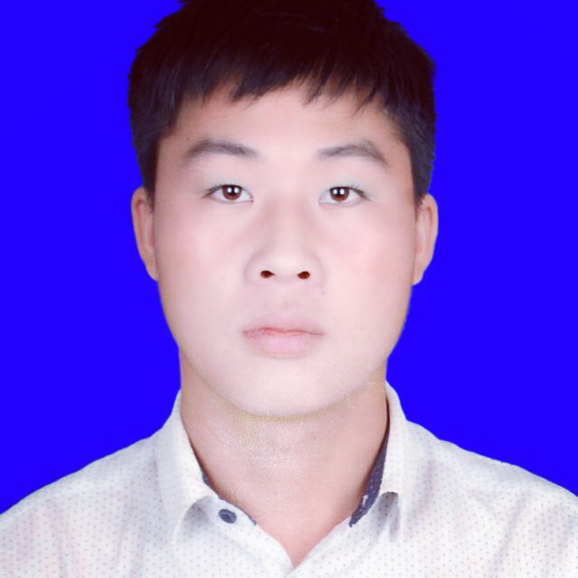鲁班七号，的照片