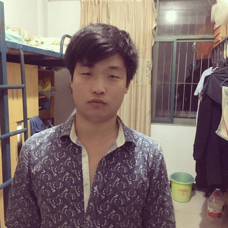 可靠苦恋斑马的照片