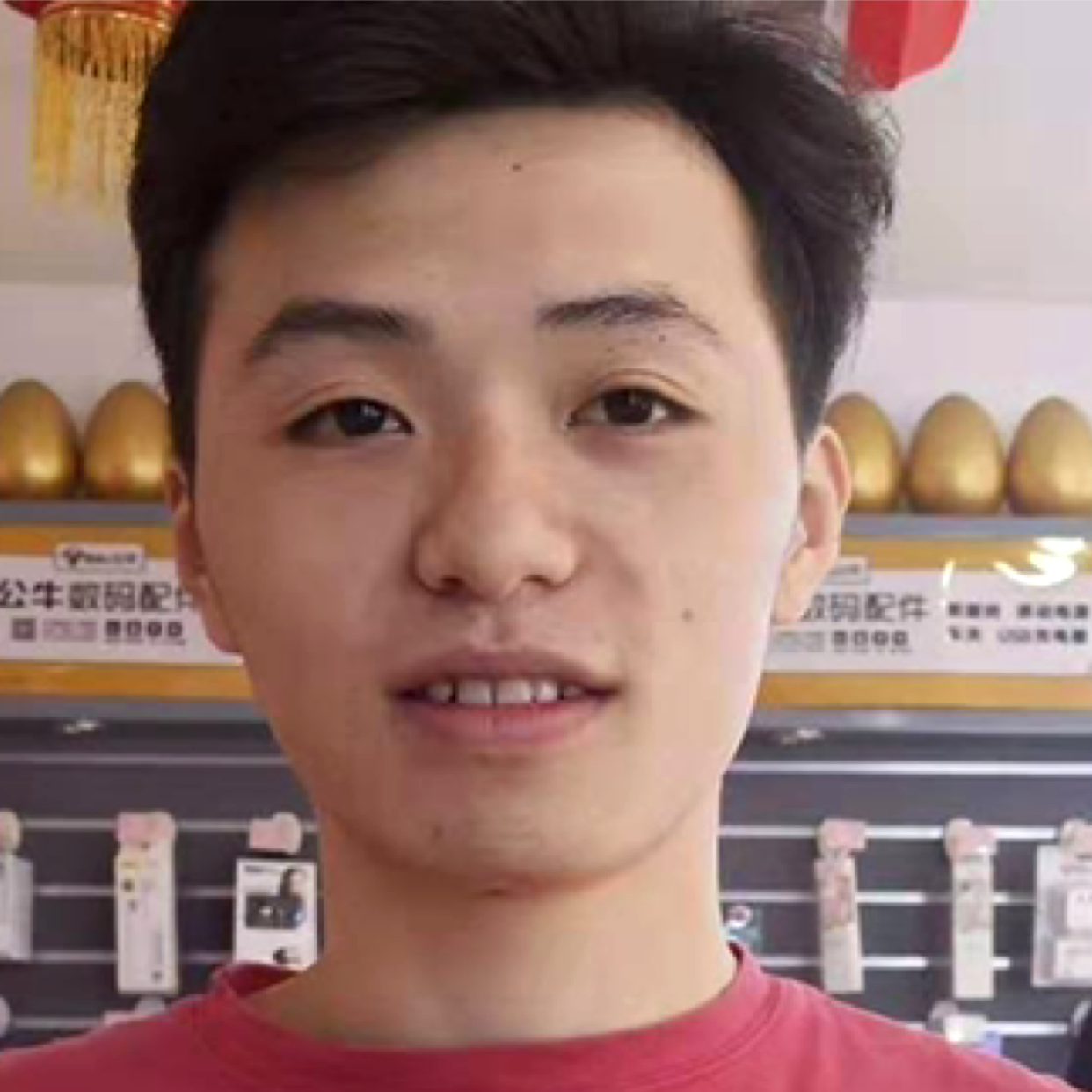 小海豚挽手呆萌的照片