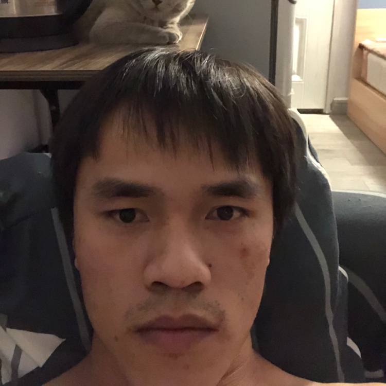 干净深拥小鸽子的照片