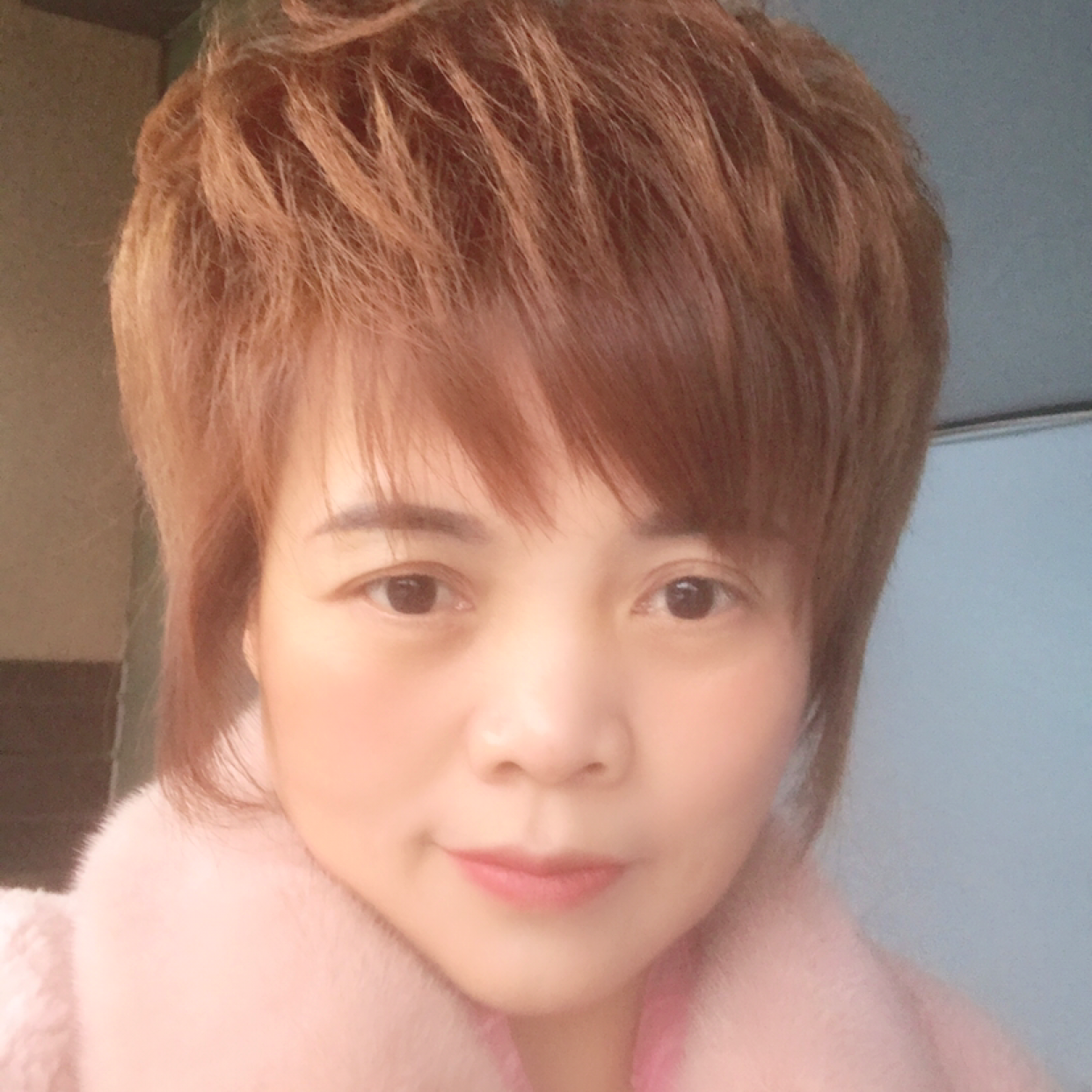 舒服的曲奇的照片