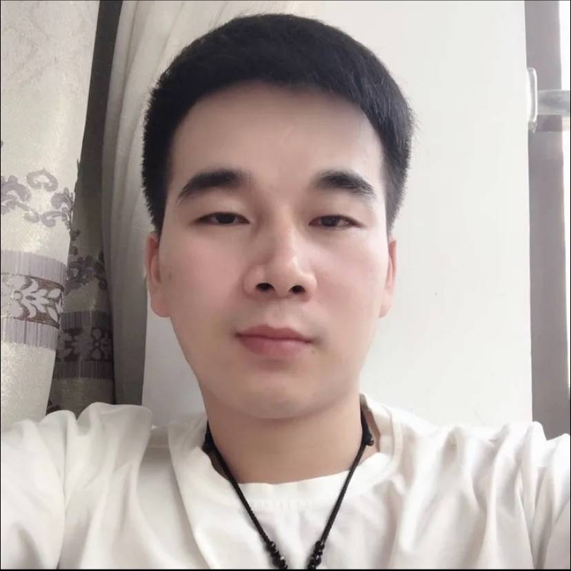 惊鸿回眸务实的照片