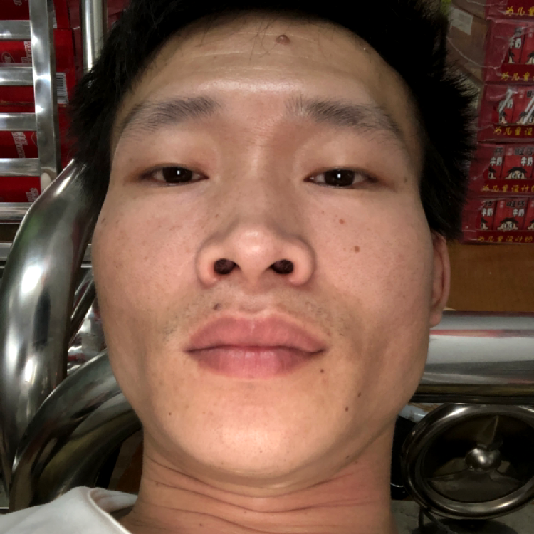 乐观停止鱼的照片
