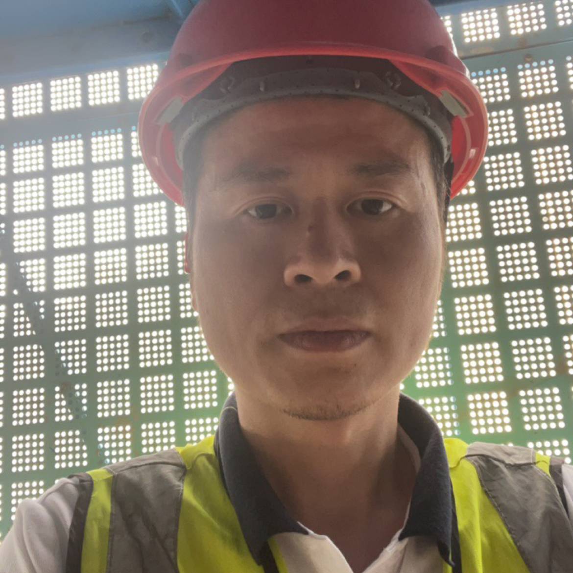 洁净蹁跹小蜜蜂的照片