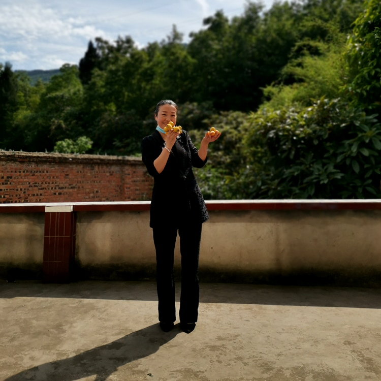 初雨蹁跹高贵的照片