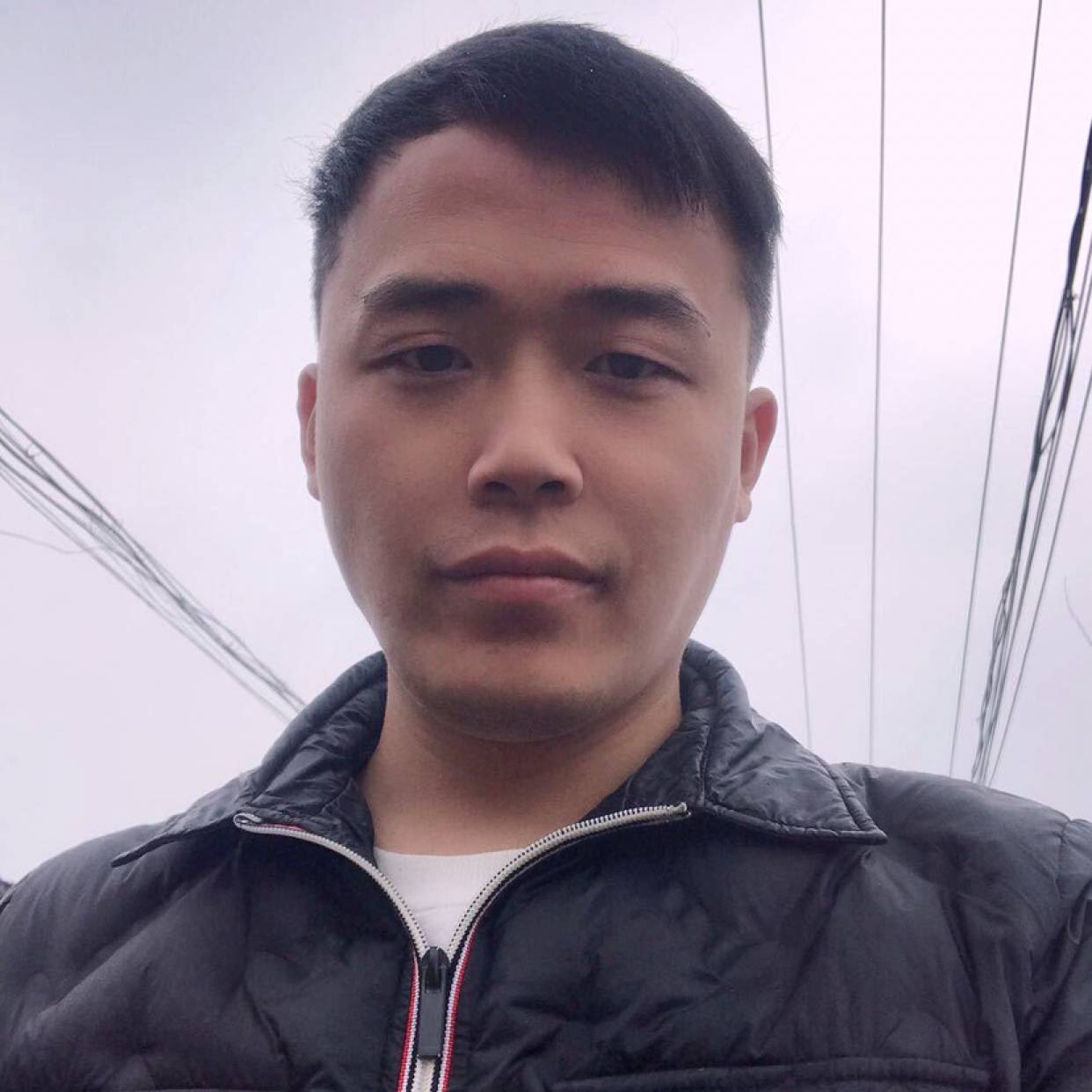 向日葵演变认真的照片