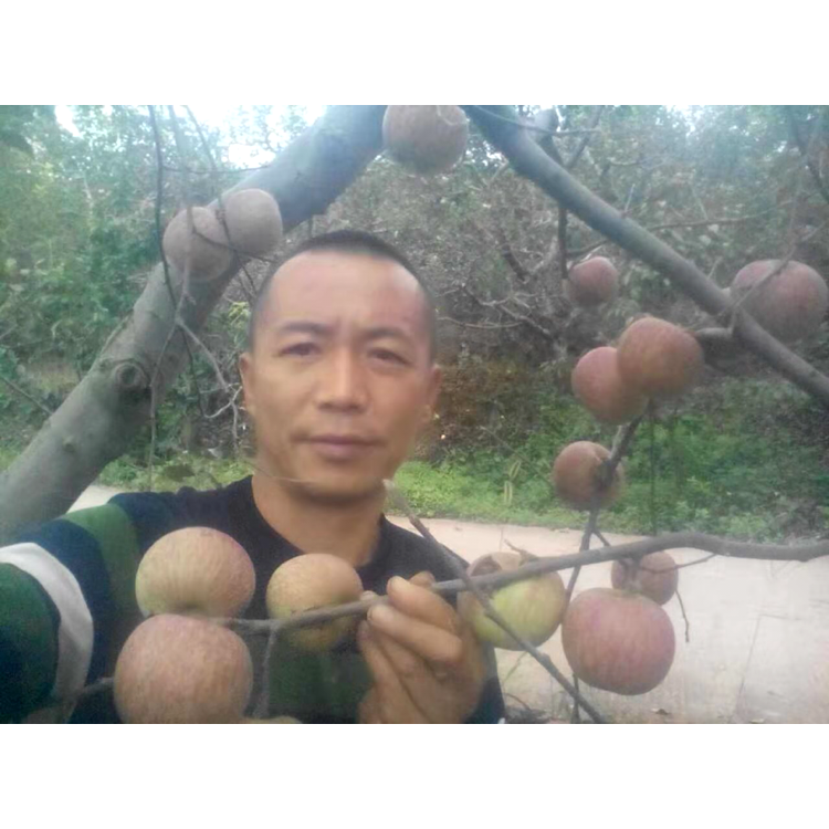 鞋子停止爱笑的照片