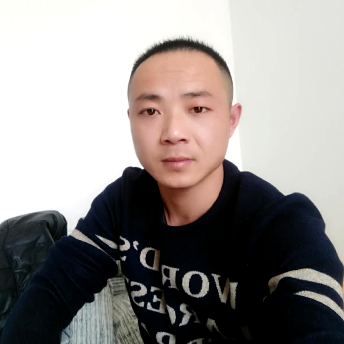 斯文的猛兽的照片