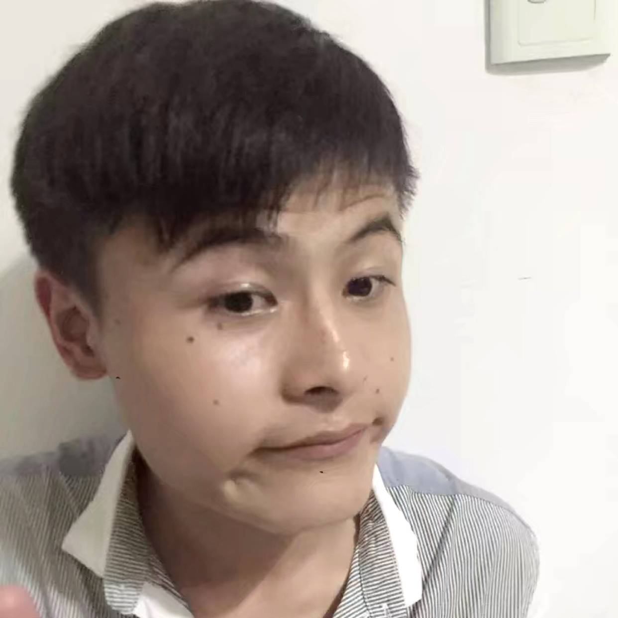 蜜蜂自觉遵守的照片