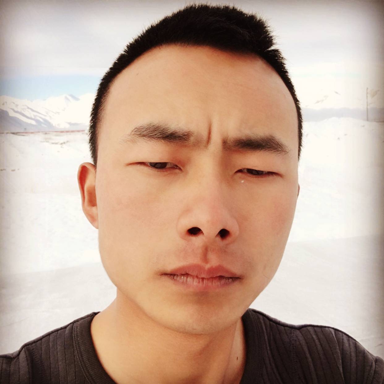 合适請蜜蜂的照片