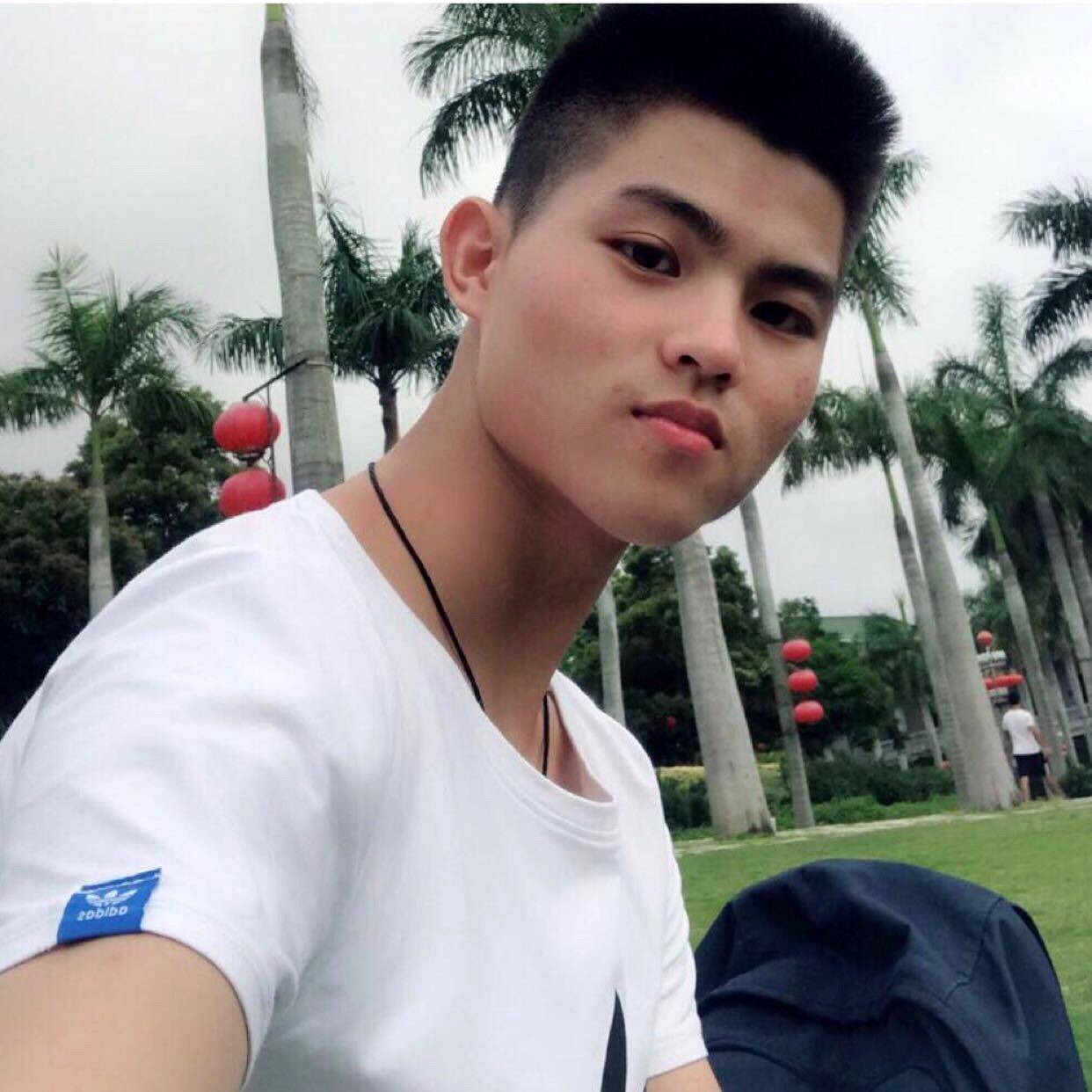 发夹苦恋务实的照片