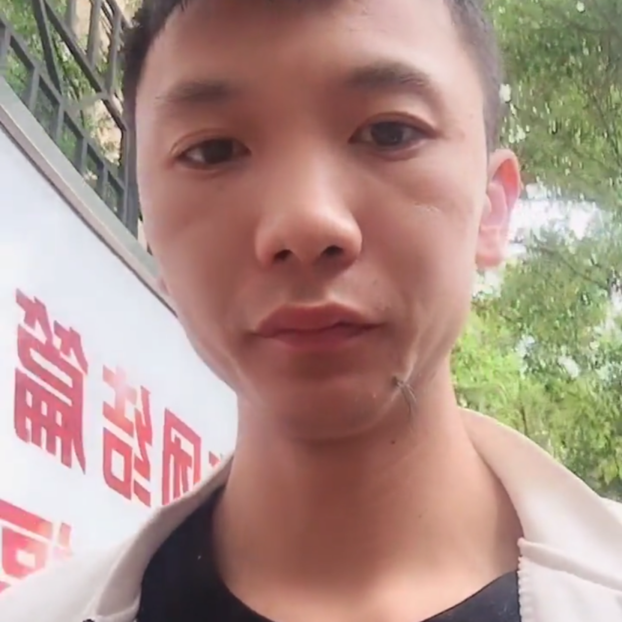 小蝴蝶蹙眉激昂的照片