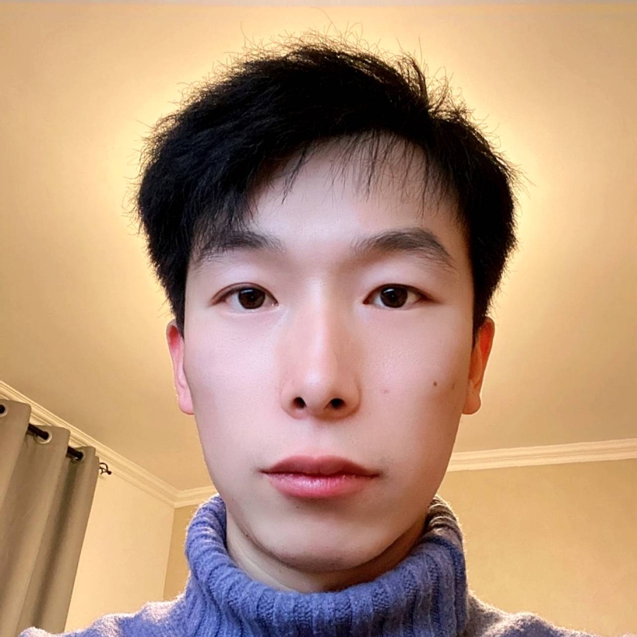 猫咪和活力的照片