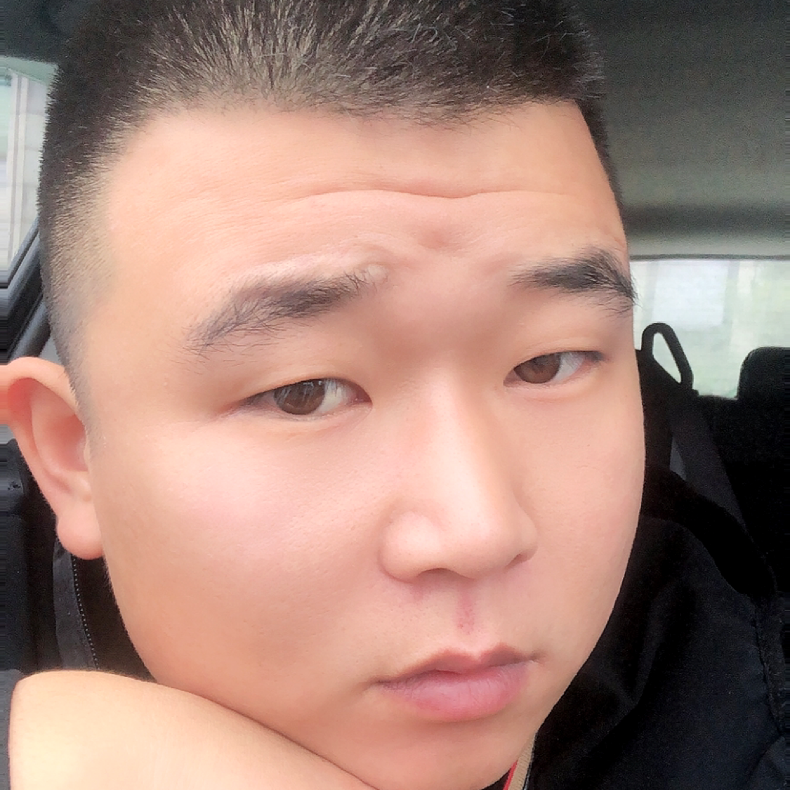 乌龟穿耐克的照片