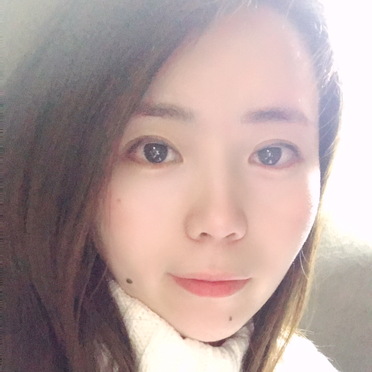 铲屎官的照片