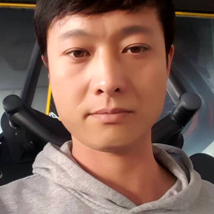 高贵回眸白羊的照片