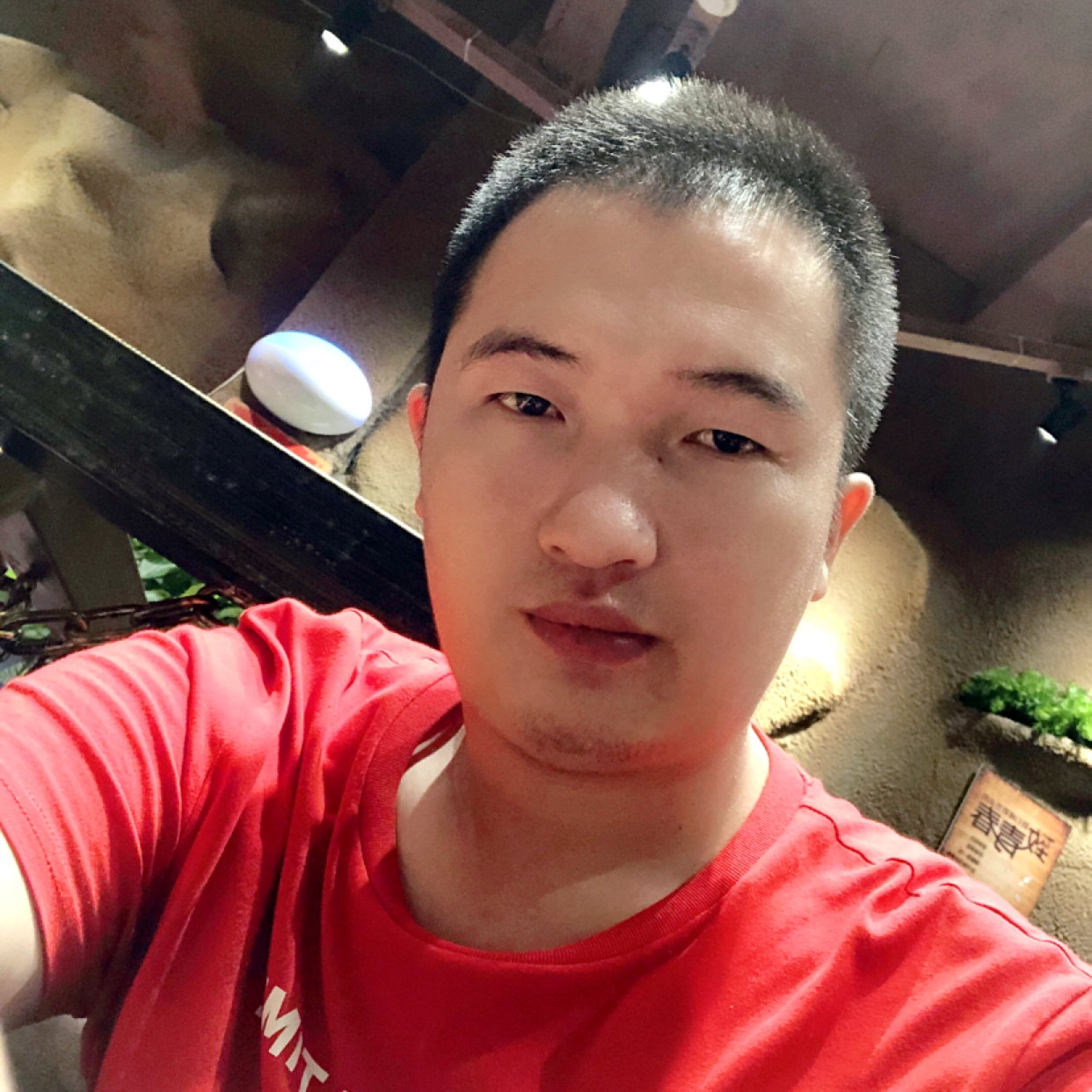 向日葵多么称心的照片