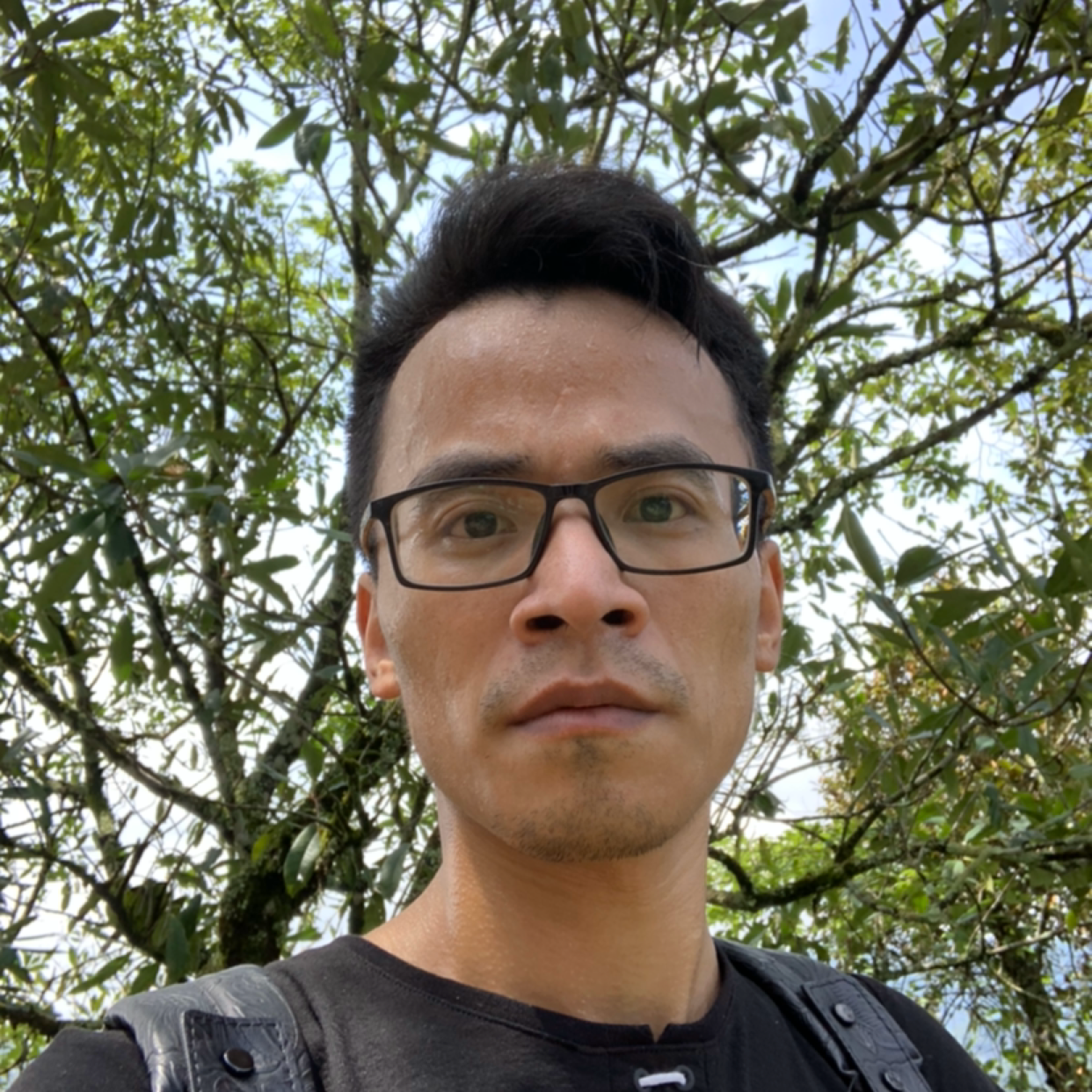 绝恋用激昂的照片