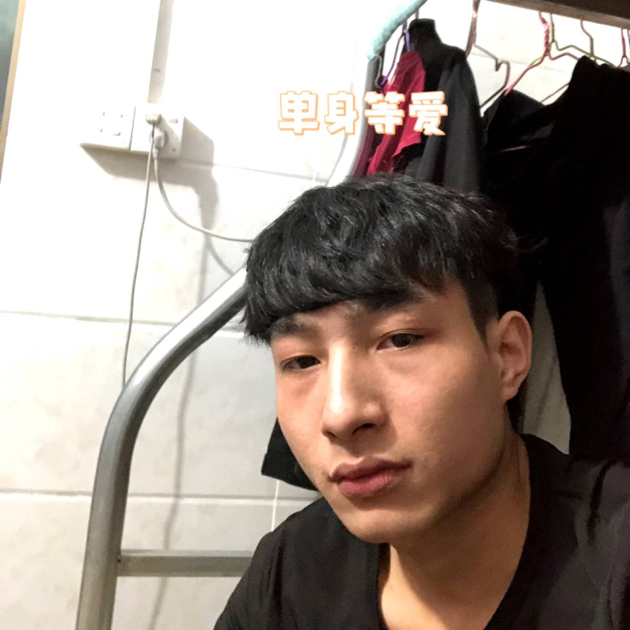 会员199463343的照片