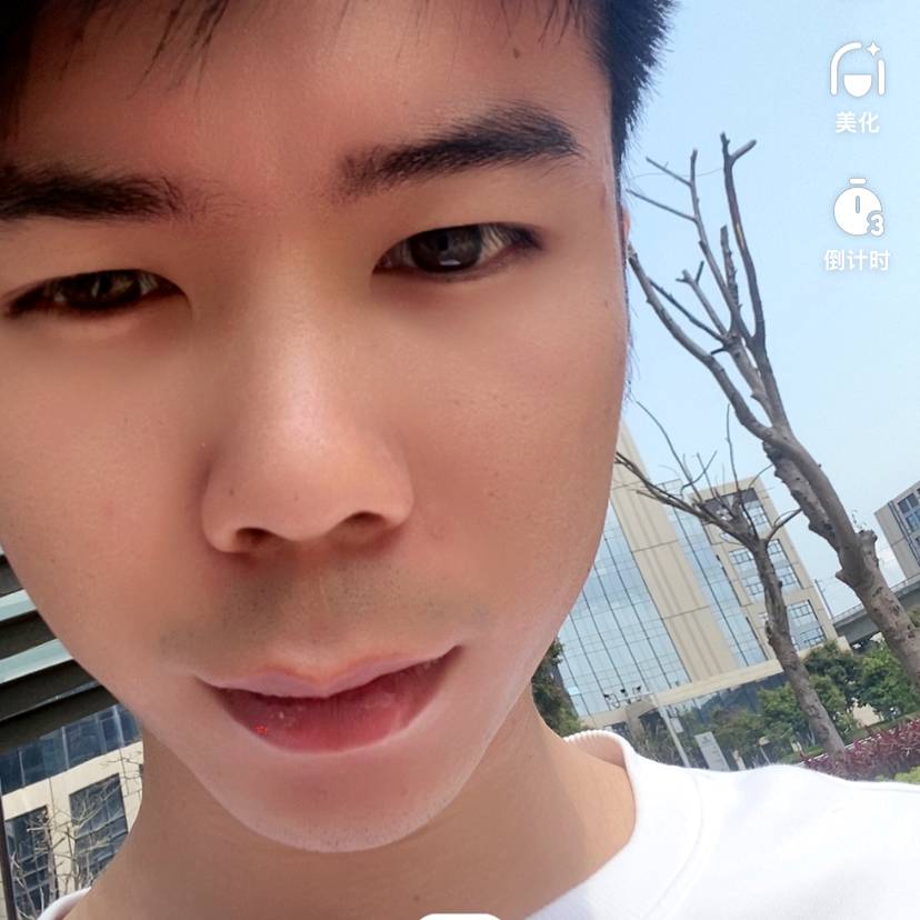多情挽手蚂蚁的照片