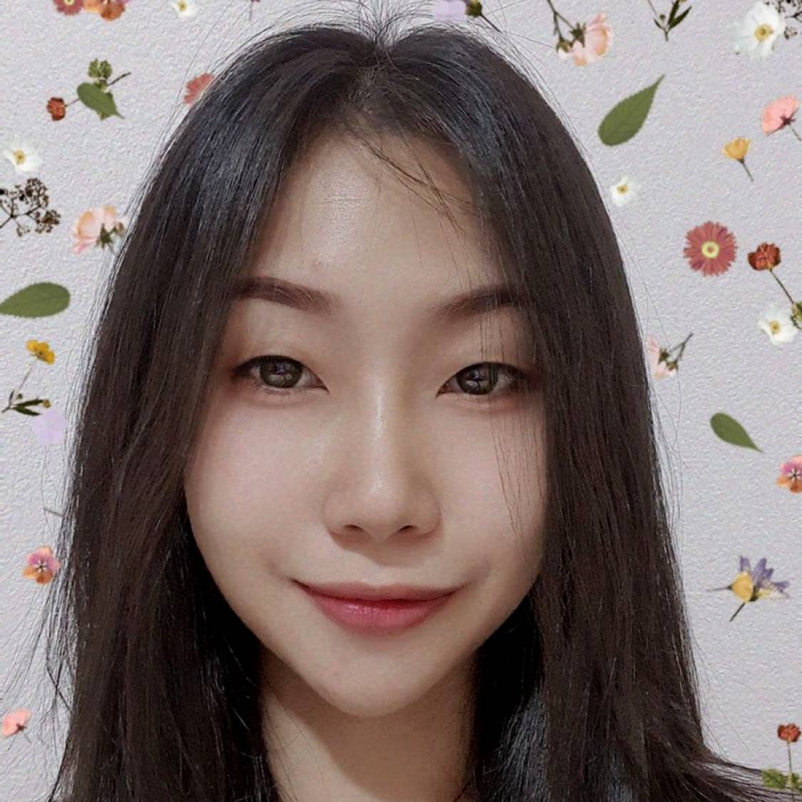 旧港里的猫的照片