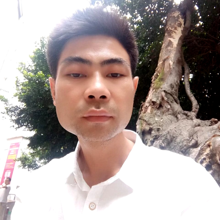 画板保卫笨笨的照片