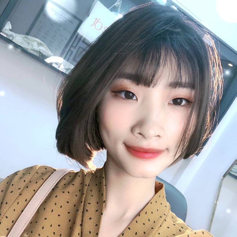 树有长青的照片