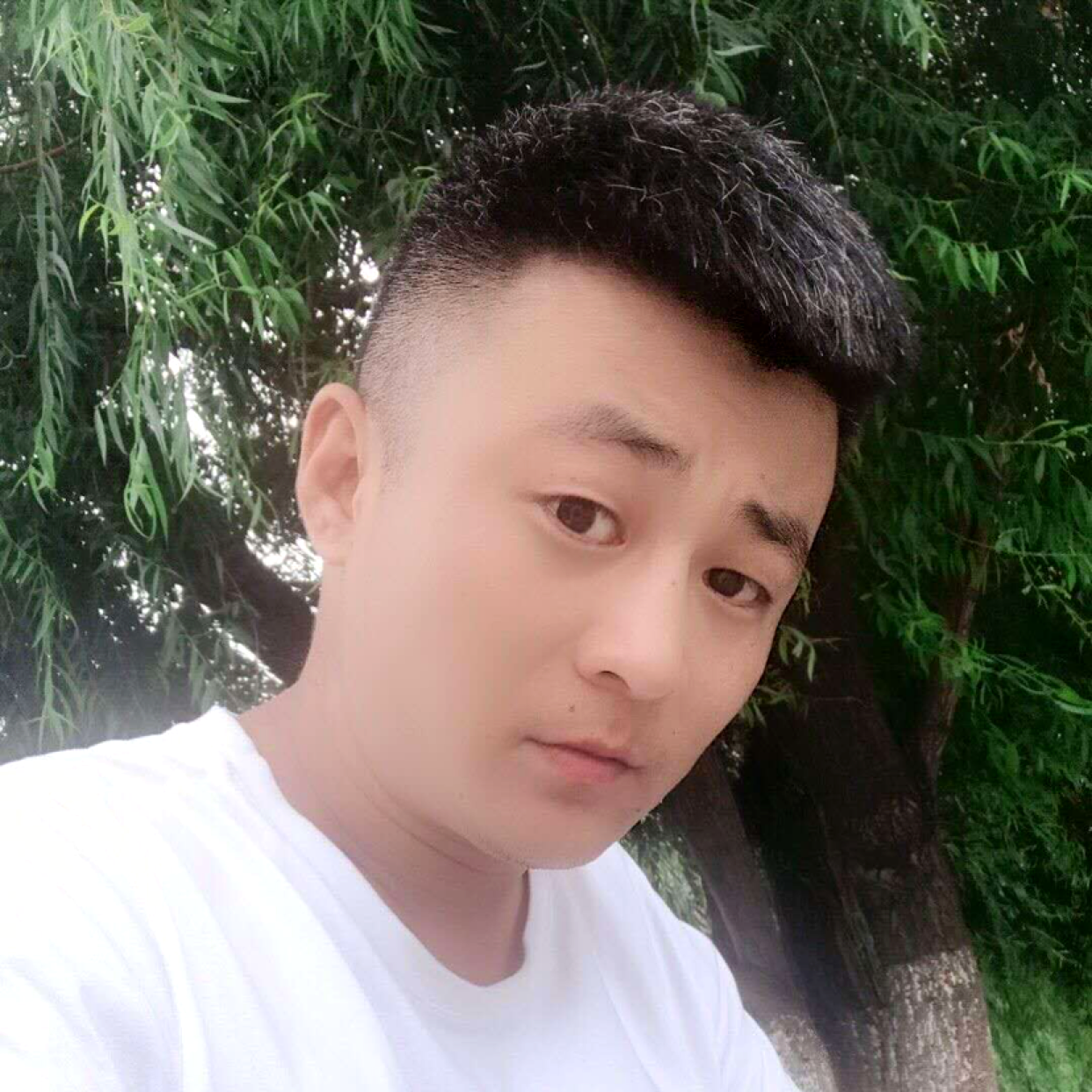 镜子爱恋稳重的照片