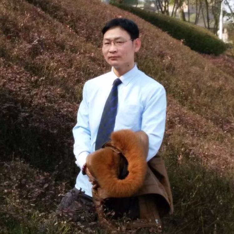 鸭子有义气的照片