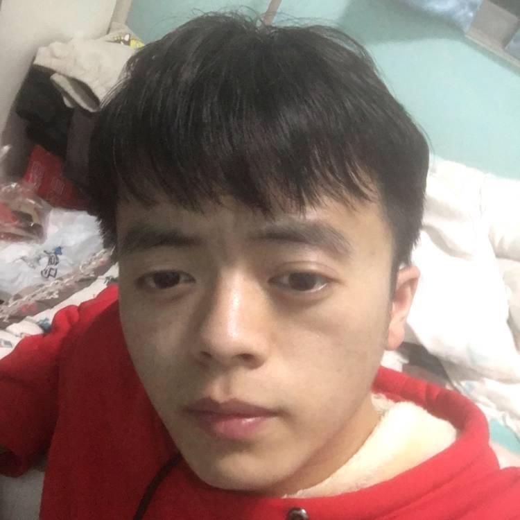 燃着的照片