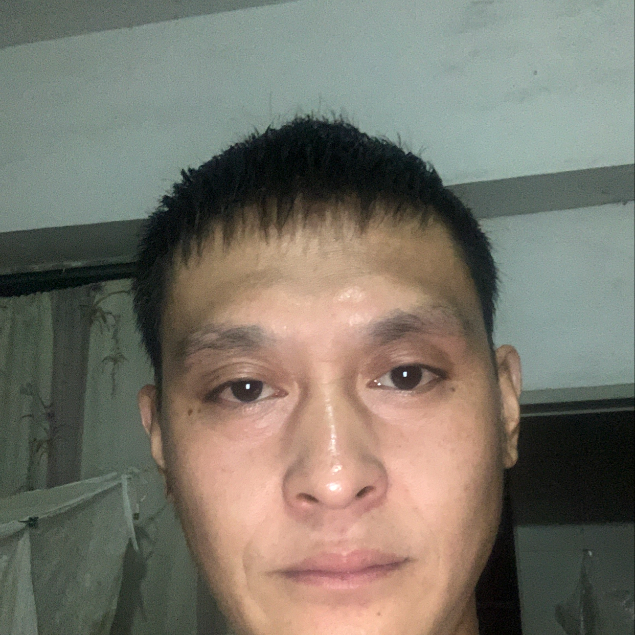 末世龙吻的照片