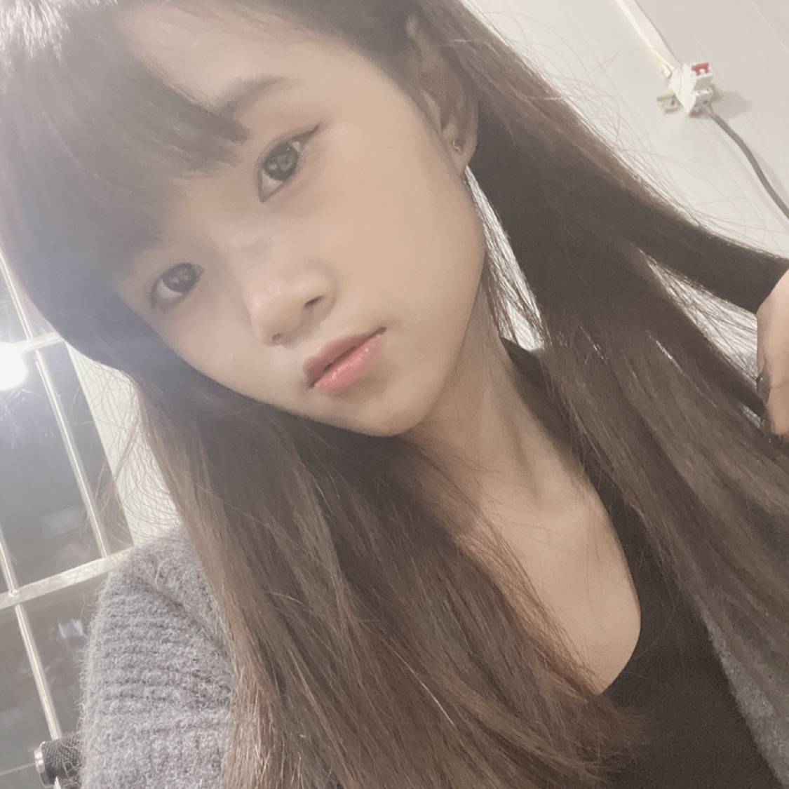 森槿等于明亮的照片