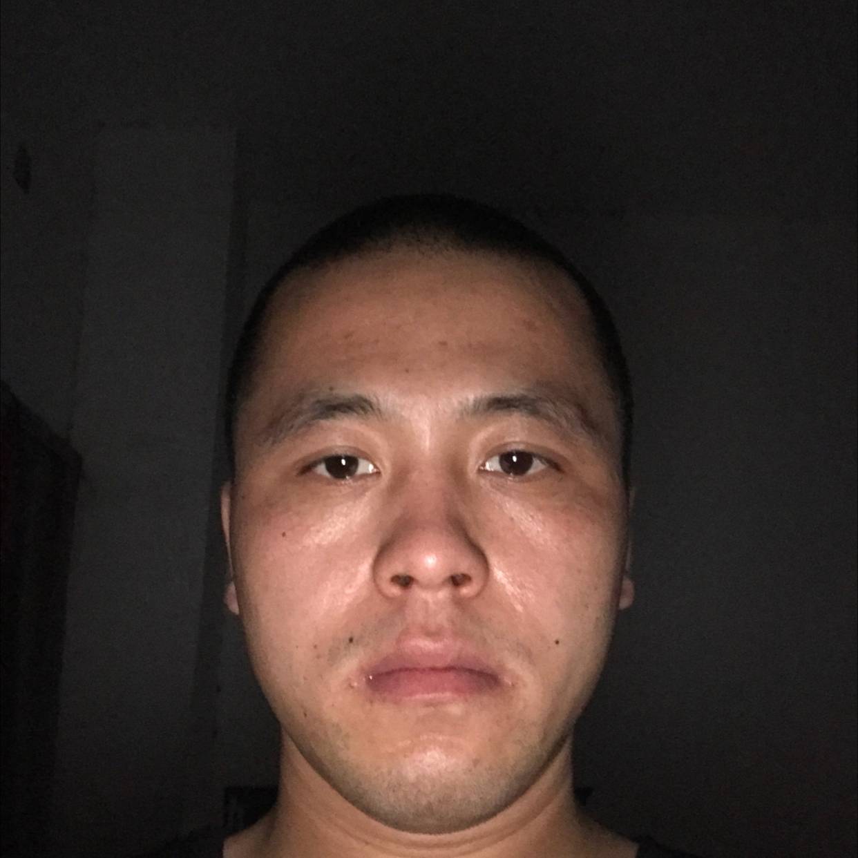 小猫咪等待等待的照片