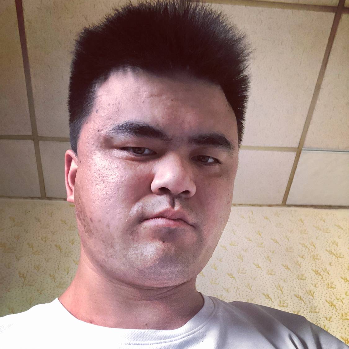 甜美停止龙猫的照片