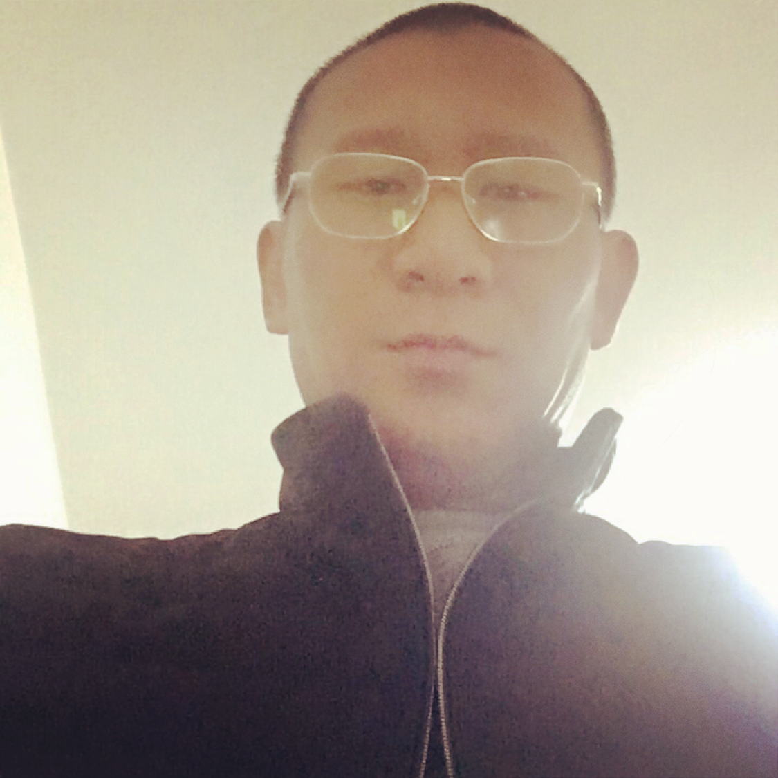 绿鸟的天空的照片