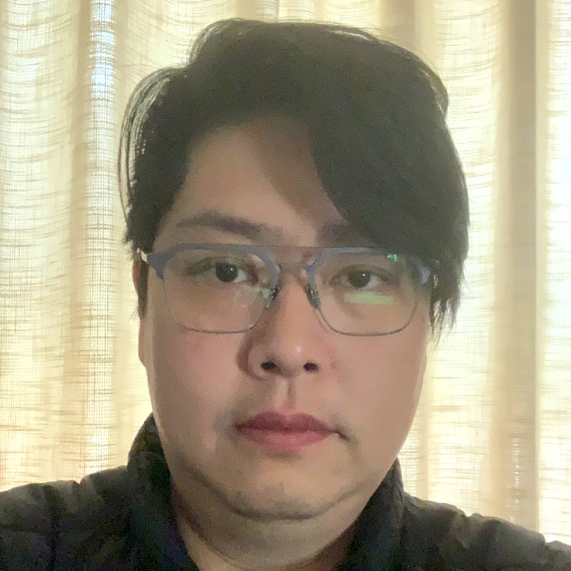老树的照片