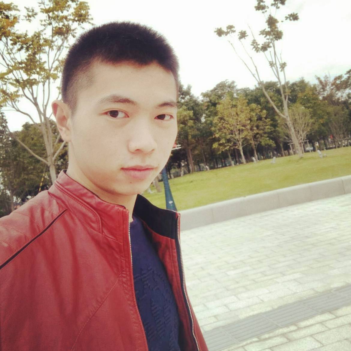 中心倾心风中的照片